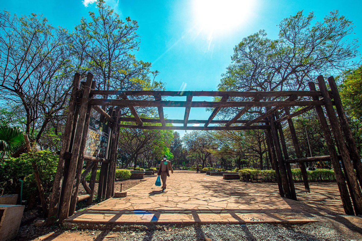 The Jeevanjee Gardens live on to serve anyone who finds themselves in need of breathing space in Nairobi. A gift that was almost snatched away.Folks like  @DaimaGreenSpace are working to ensure they stay around for longer.Visit the space with your chest, take a friend or two.