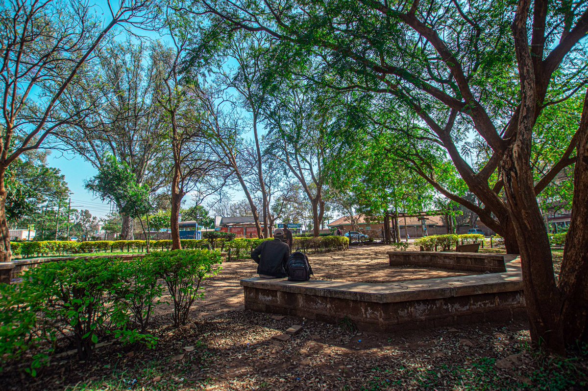 The Jeevanjee Gardens live on to serve anyone who finds themselves in need of breathing space in Nairobi. A gift that was almost snatched away.Folks like  @DaimaGreenSpace are working to ensure they stay around for longer.Visit the space with your chest, take a friend or two.