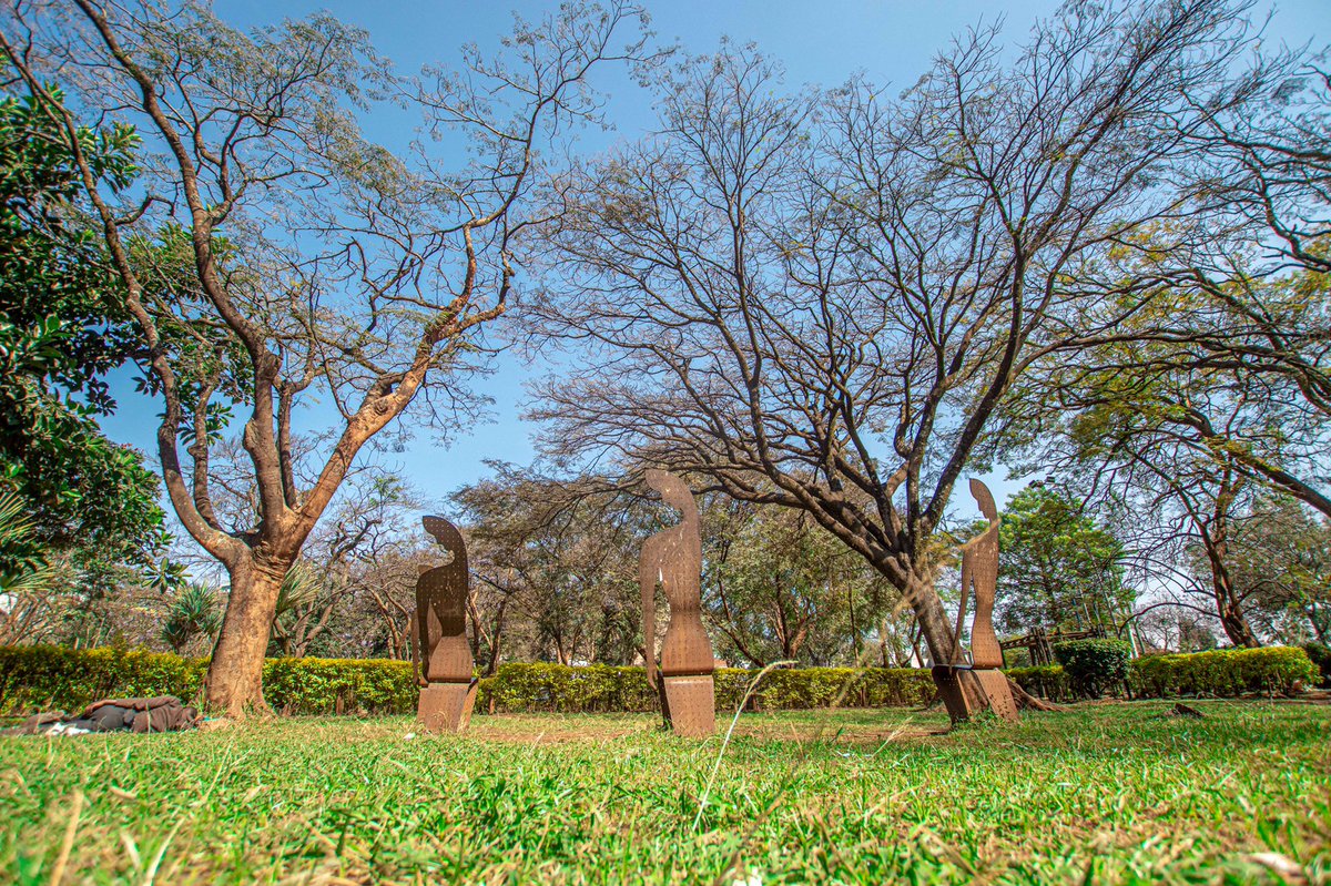 The Jeevanjee Gardens live on to serve anyone who finds themselves in need of breathing space in Nairobi. A gift that was almost snatched away.Folks like  @DaimaGreenSpace are working to ensure they stay around for longer.Visit the space with your chest, take a friend or two.