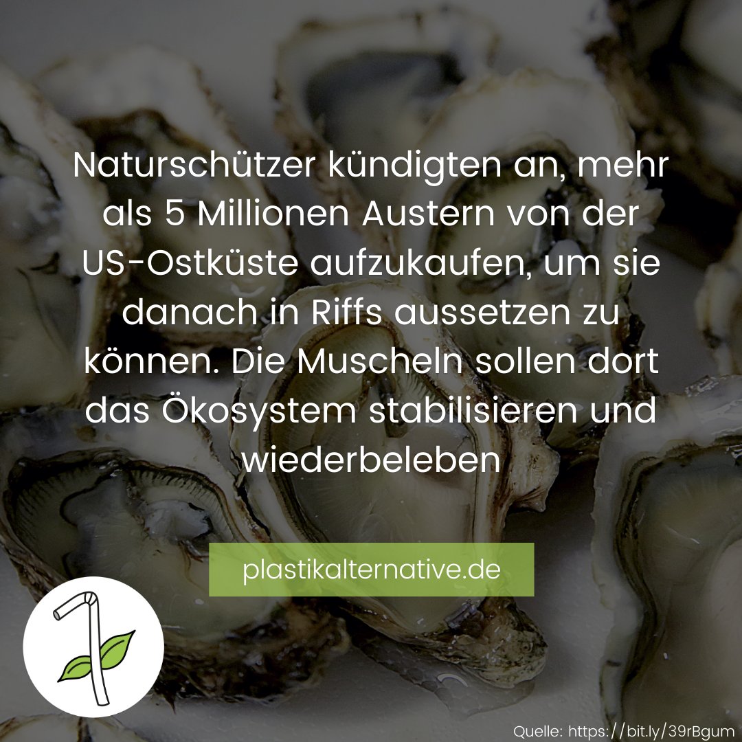 #plastikalternative 🌱⠀
⠀
Folgt @plastikalternative für tägliche Plastiknews 🌱⠀⠀⠀⠀⠀⠀⠀⠀⠀⠀⠀⠀⠀⠀⠀⠀⠀⠀⠀⠀⠀⠀⠀⠀⠀⠀⠀⠀⠀⠀⠀⠀⠀