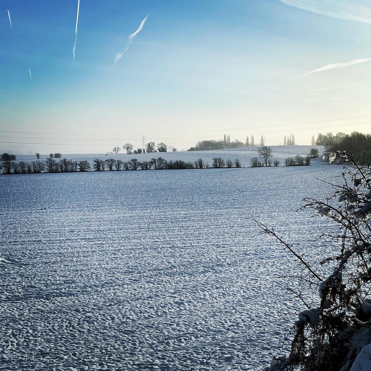 A lovely morning to have a walk at break time. #homeschooling2021