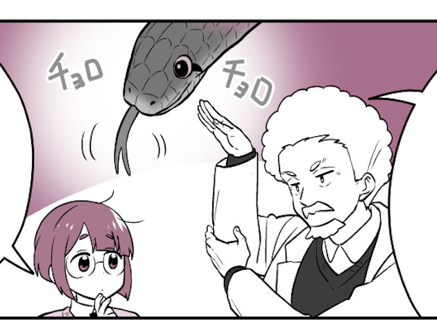 【お仕事】「子供の科学」2月号発売中です📒
巻末漫画「放課後探偵 危険生物編」の漫画担当をしております。最後のおさらい回です、1年間ありがとうございました!
また、来月号からの新章もよろしくお願いします✨