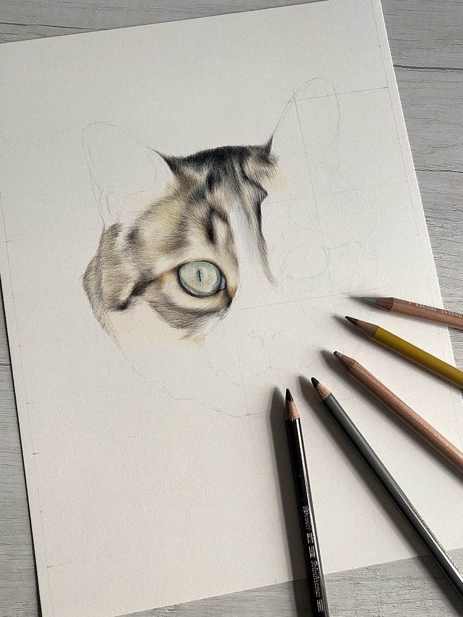New pet portrait in progress! This one is for my friend 🥰

Photo reference by the owner.

Remember that commissions for pet portrait or wildlife are always open, you can find the link on my bio for more info!

#catart #petportrait #coloredpencils #commissionsopen #cat #art