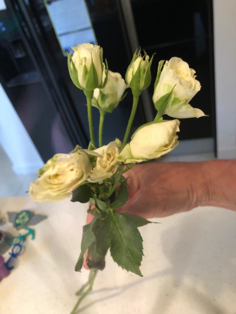 ⁦<a href="/hauteflorist/">Haute Florist</a>⁩ flowers finally arrive five days late and in this condition. Still no response from ⁦<a href="/hauteflorist/">Haute Florist</a>⁩ customer services