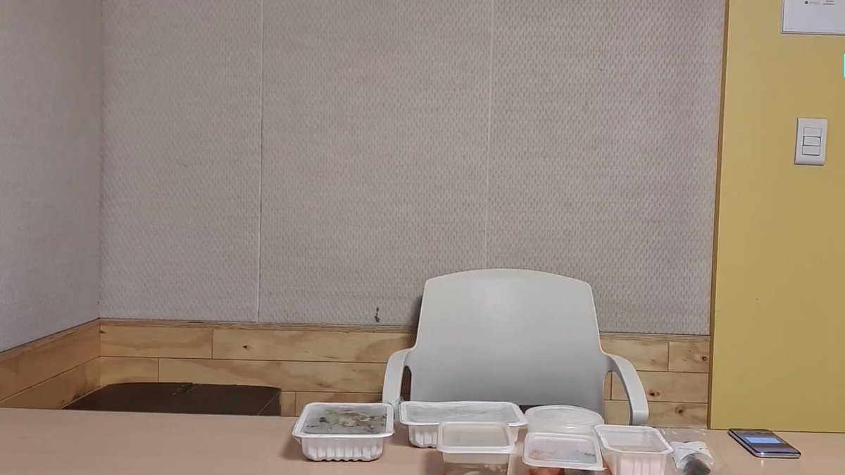 i use this as my zoom pfp then leave my camera off my teacher thought i went somewhere