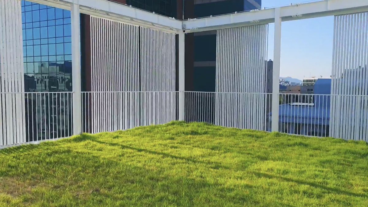 i use this as my zoom pfp then leave my camera off my teacher thought i went somewhere