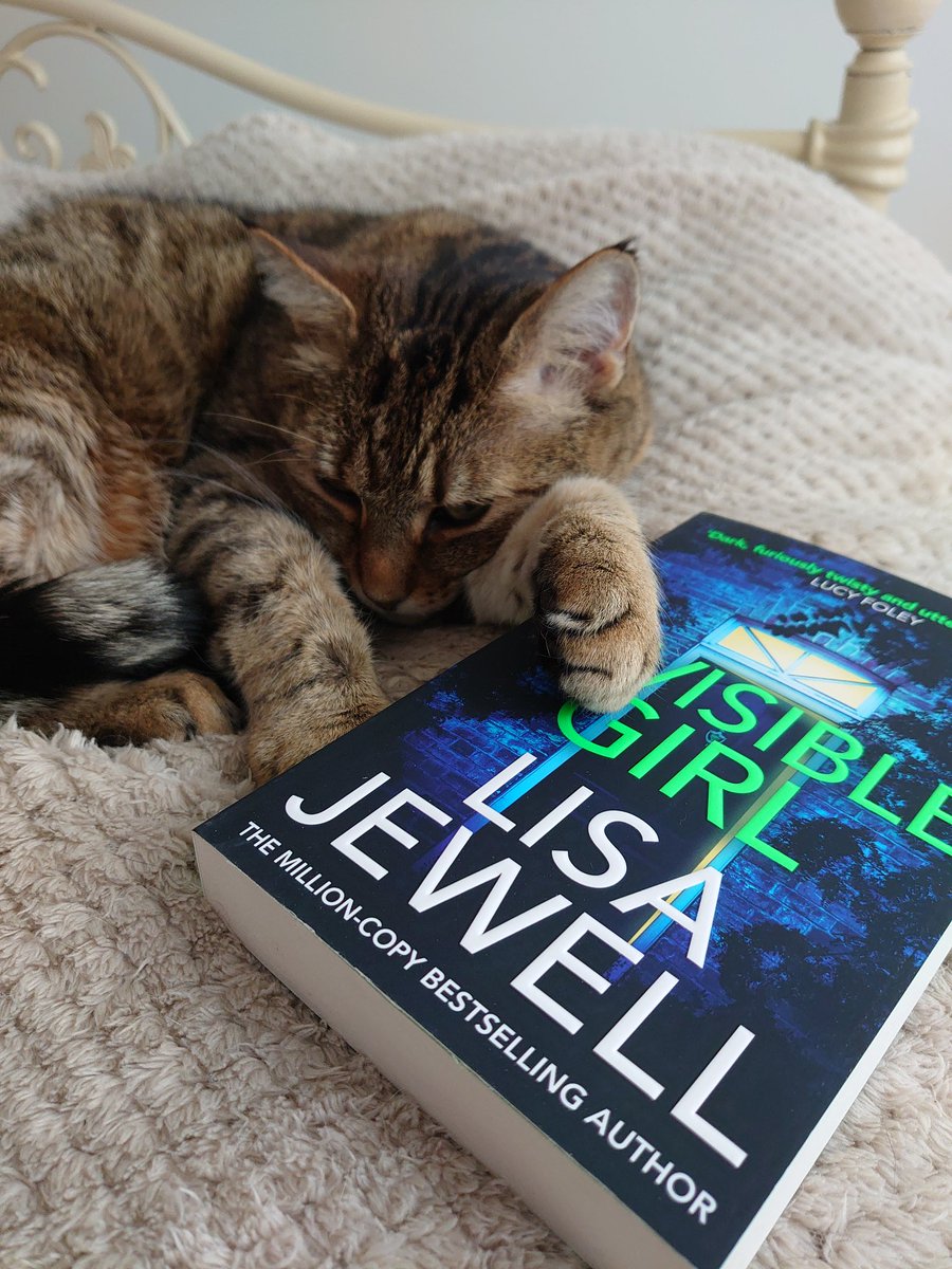 Just having a nap before starting this #cats #CatsOnTwitter #CatsOfTwitter #catlovers #catslife #pets #kittytwitter #FallonsFabulousBookClub #lisajewell