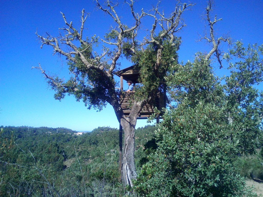 becool_travel's tweet photo. 👣A walk can do wonders for your mental well-being!👣
 It isn't an ideal situation we find ourselves in, but we encourage you to  stay active and enjoy the wintry landscapes, minding all the safety precautions and physical distance. 
📷 Caldeirão Mountains, Algarve. https://t.co/Eis3yHNshF