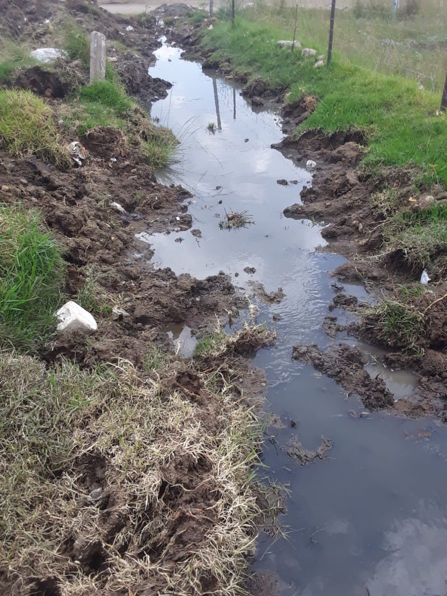malazash's tweet photo. @GovanMbeki Why are sewer blokackges not attended to at Leslie Mpumalanga? This causes a serious health hazard and needs to be attended urgently. @Echo_Ridge_News @SABCNews @GertSibandeNewz #BrainMolefe #CyrilRamaphosa #RIPEFF https://t.co/lBxPdi9Txc