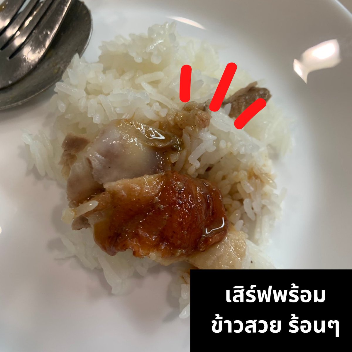 HelloJudma's tweet image. ข้าวหน้าเป็ด Mk ราคา 19 บาท! 

ทำยังไงมาดูกัน
-อันดับแรกไป MK สาขาไหนก็ได้ สั่งโครงเป็ดเลยจ๊ะ 19 บาท ได้ 2 โครง ส่วนใครชอบน้ำราดเป็ด จ่ายเพิ่ม 13 บาท ไม่ฟรีแล้วนะเดียวนี้😢 

-แกะเนื้อเป็ด โปะข้าวสวยร้อนๆ ใครรักเป็ด Mk คือต้องเลิฟ🥰

สิ้นเดือนนี้เราต้องรอด

#ถูกและดี #ของดีบอกต่อ