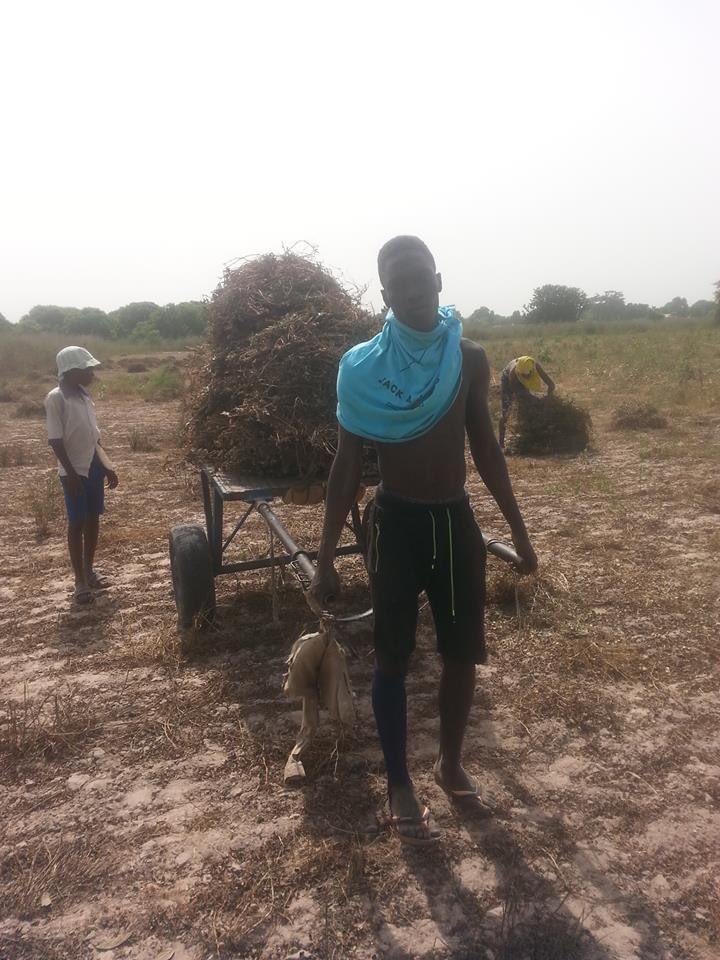 malang91749385's tweet photo. I love working on the nature and hard working always bring success https://t.co/HcGJLlhChB