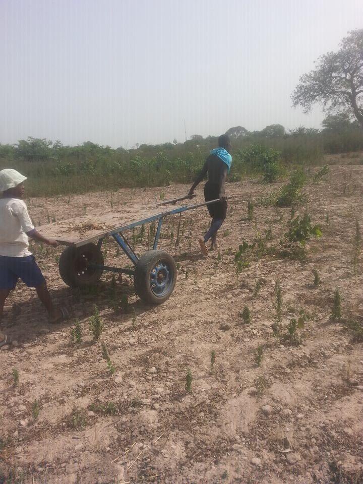 malang91749385's tweet photo. I love working on the nature and hard working always bring success https://t.co/HcGJLlhChB