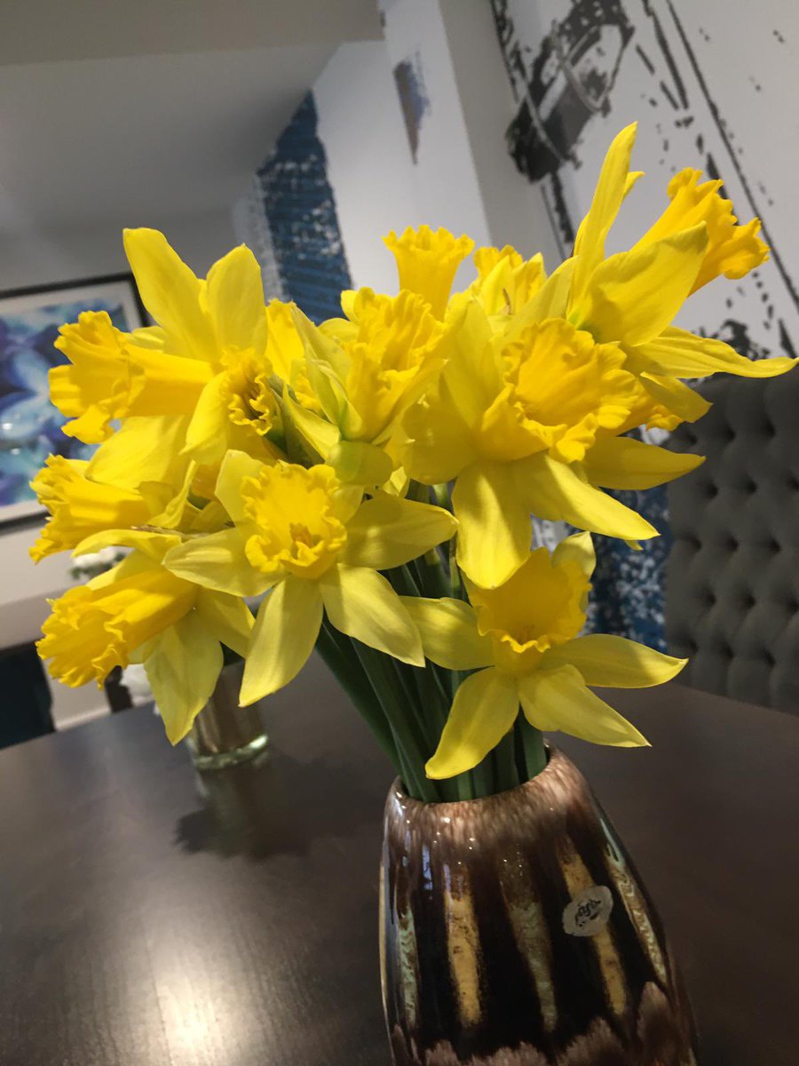 Huge thanks from our residents to <a href="/MandSnews/">M&S News</a> Fleet for dropping off the daffodils you could no longer sell - they really were appreciated and so many commented they were a definite sign of hope of better things to come😊🙏 #happyliving  #InThisTogether @AnchorHanover