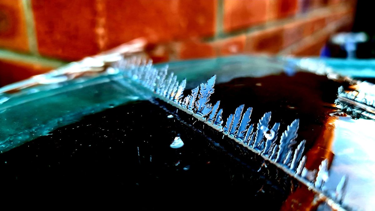 GemHobby's tweet image. More pretty ice patterns I found this morning . It looks like a tiny ice forest lol. #ICE #Icepatterns #icedrop xx