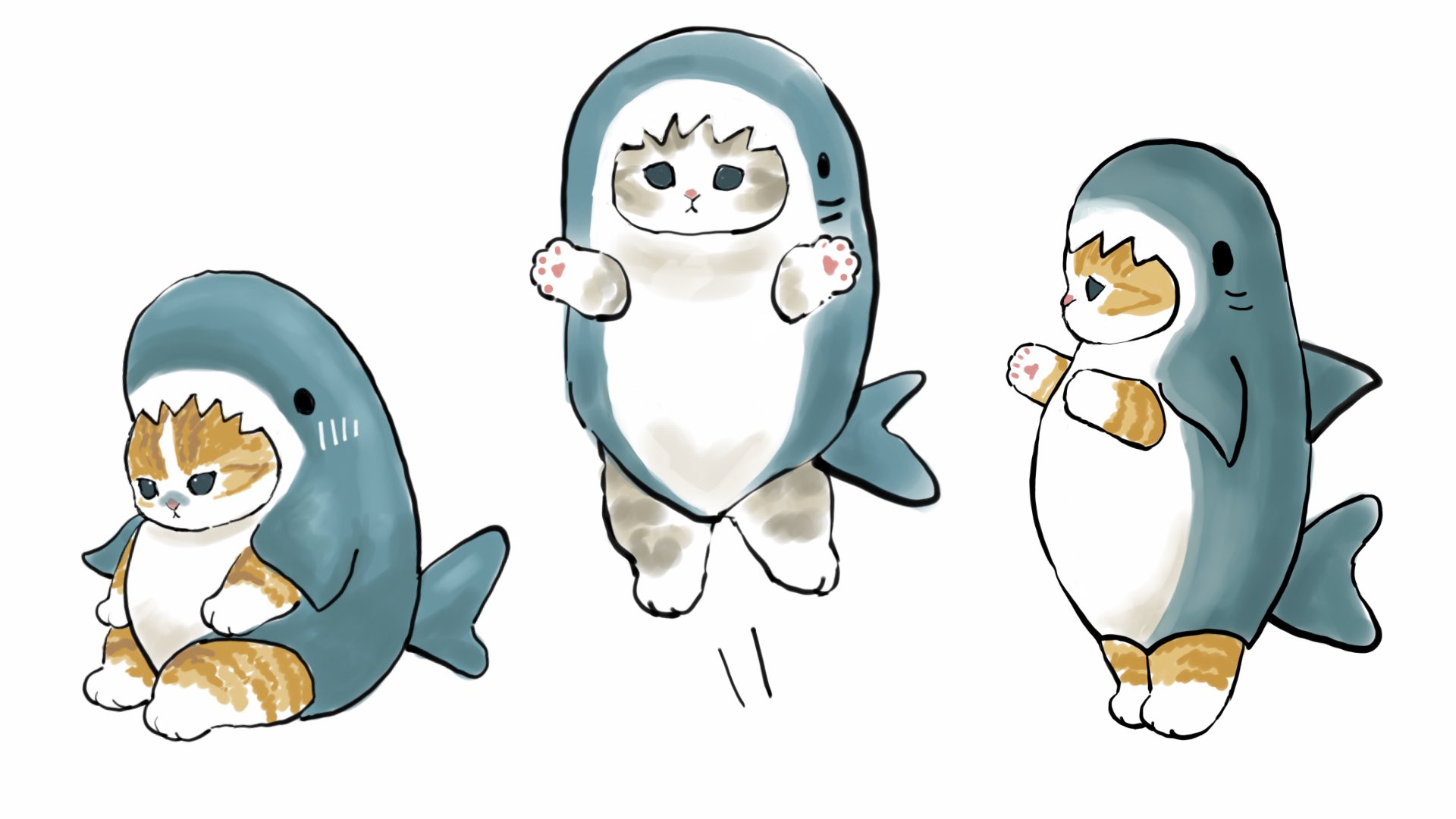 ぢゅの サメにゃん T Co Gezmmvjbnn Twitter