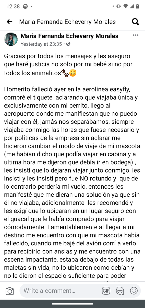 XimeSam's tweet photo. @EasyflyVuelos infelices! Que falta de humanidad..de todo. Absoluta indignación!  #justiciaparahomero https://t.co/ye967xi0yj