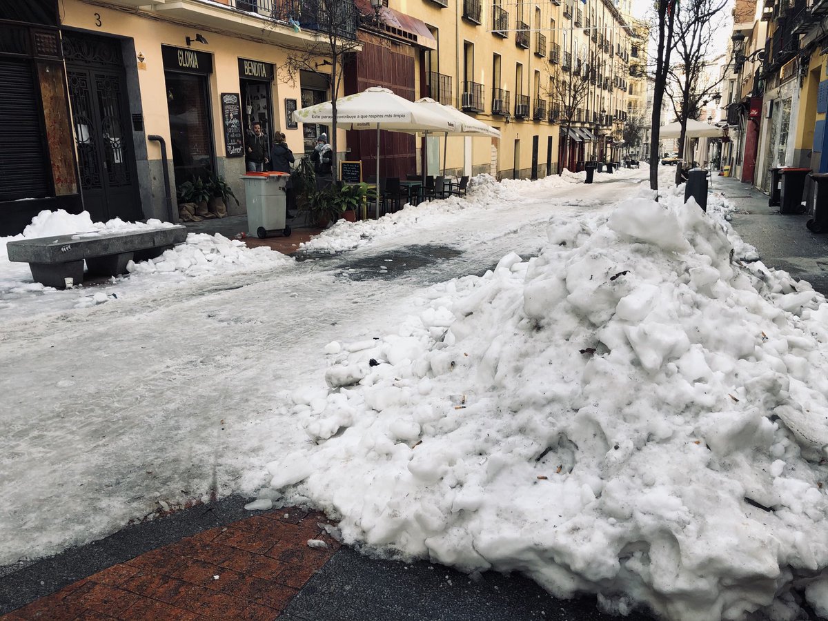 ramonlobo's tweet photo. Ni recogida de basura ni recogida de árboles. En el centro también pagamos impuestos ⁦@MADRID⁩ https://t.co/Y9bMPTHNse