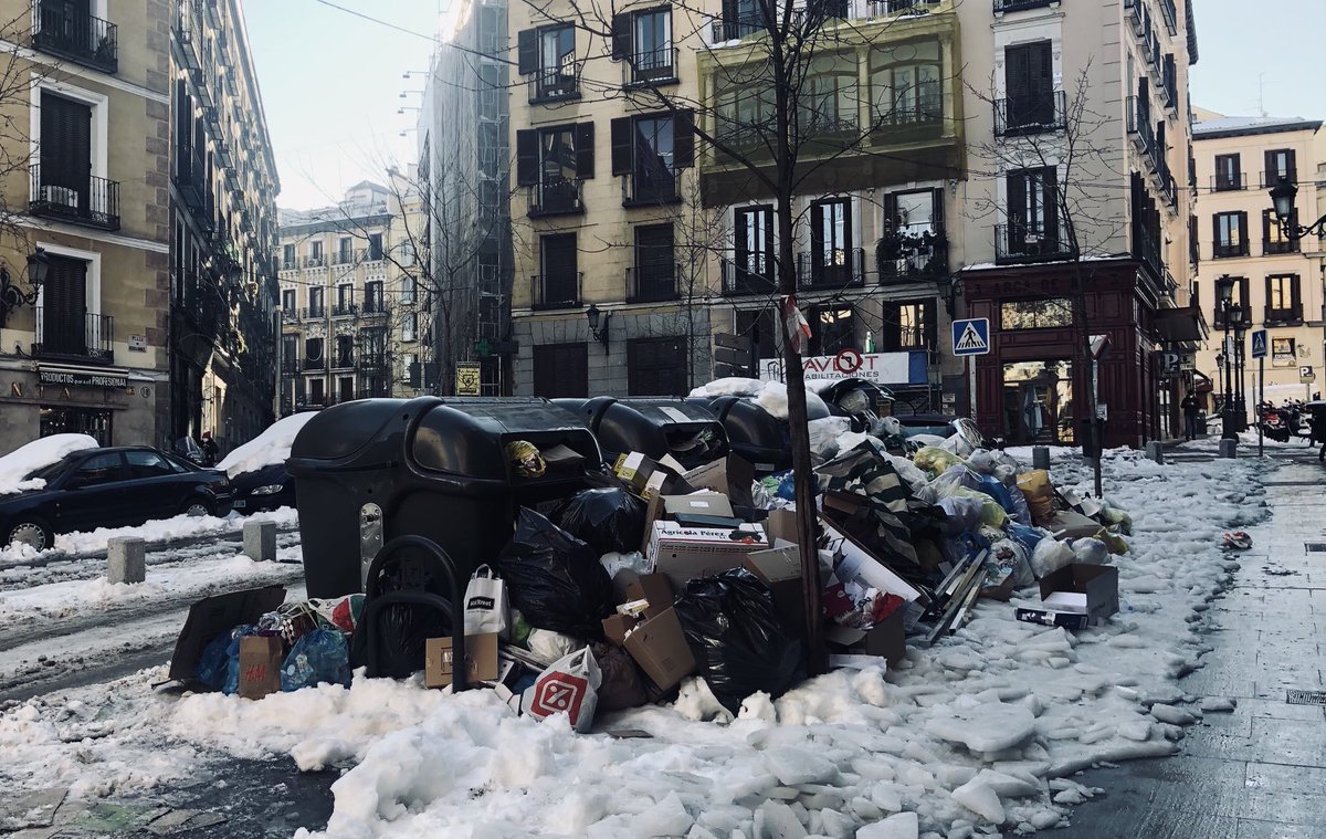 ramonlobo's tweet photo. Ni recogida de basura ni recogida de árboles. En el centro también pagamos impuestos ⁦@MADRID⁩ https://t.co/Y9bMPTHNse
