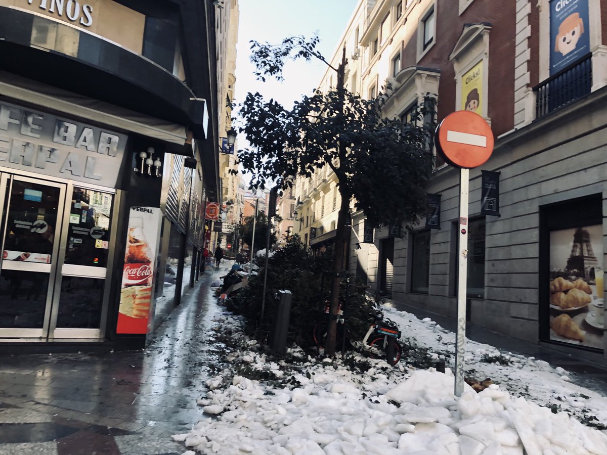 ramonlobo's tweet photo. Ni recogida de basura ni recogida de árboles. En el centro también pagamos impuestos ⁦@MADRID⁩ https://t.co/Y9bMPTHNse