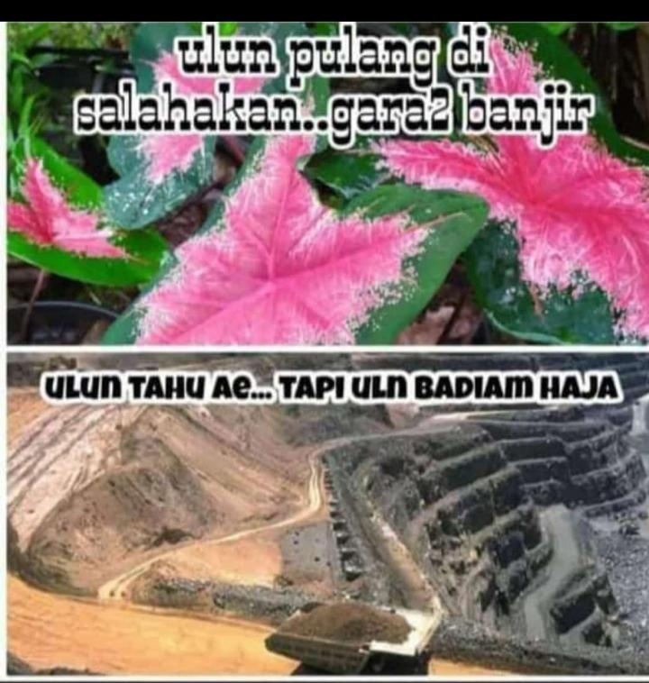 assyarony3's tweet photo. Negara borneo
#KalselJugaIndonesia 
#PrayforKalSel
#savepegununganmeratus https://t.co/qXcGg8BGkQ