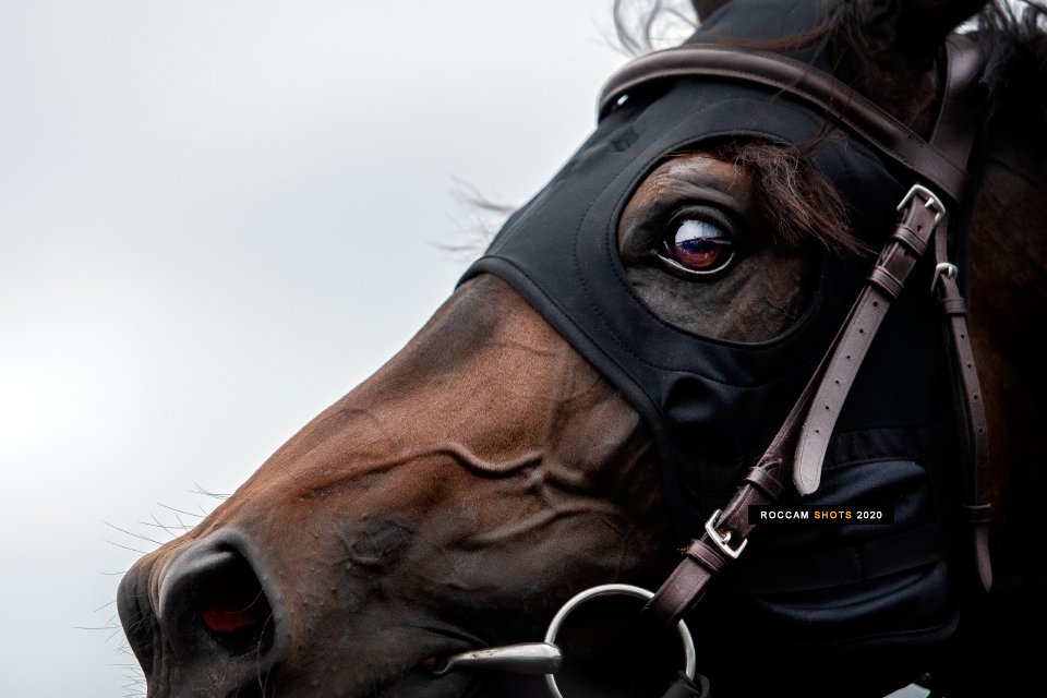 A close-up of SEE YOU SOON from last year.