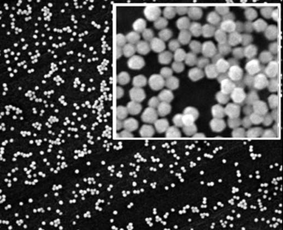 Rob Young tweet media