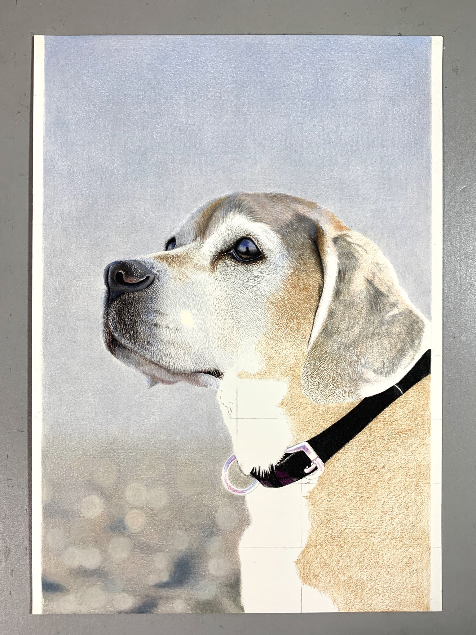 イロドリアル イロドリアルの超リアルな色鉛筆画 に掲載されている 上級編犬の制作過程 背景のグラデーションやぼかし ワンちゃんの毛並みの描き方について載せています もし気になられて 本が書店に置かれていない場合は 店員さんに一言いってき