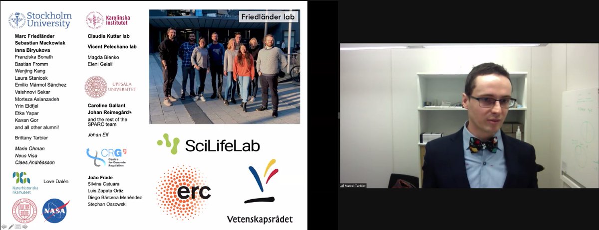 Friedlander lab @marcfriedlander.bsky.social tweet media