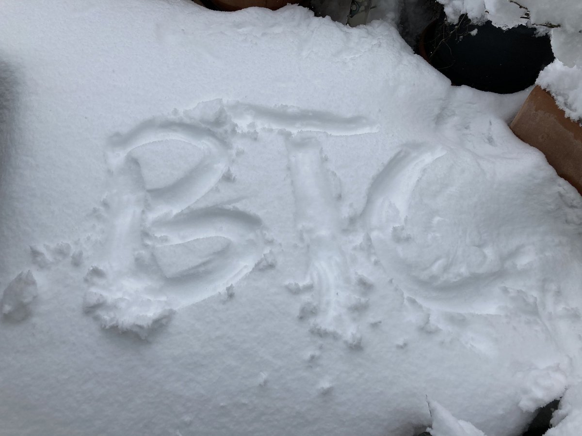 Swiss CryptoBaller (@swisscryptobalr) on Twitter photo 