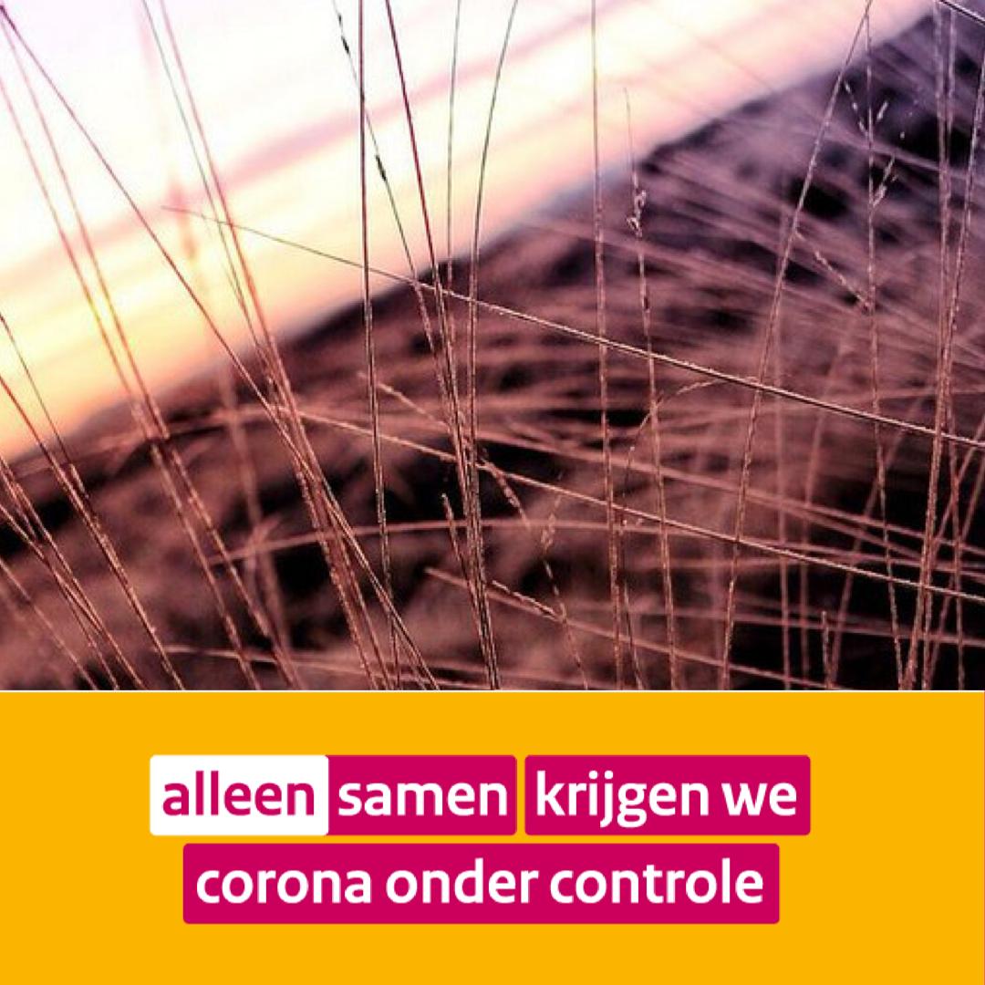 GemeenteEde's tweet image. #EdeFietst | Frisse neus halen in gemeente Ede? #Komopdefiets! Is dat echt geen optie? Dan geldt ✔️ Vermijd drukte en geef de ruimte ✔️ Kom op een rustig tijdstip ✔️ P vol? Rij naar de volgende ✔️ Kom zonder trailer/groot vervoer ✔️ Laat berm/weg vrij voor hulpdiensten