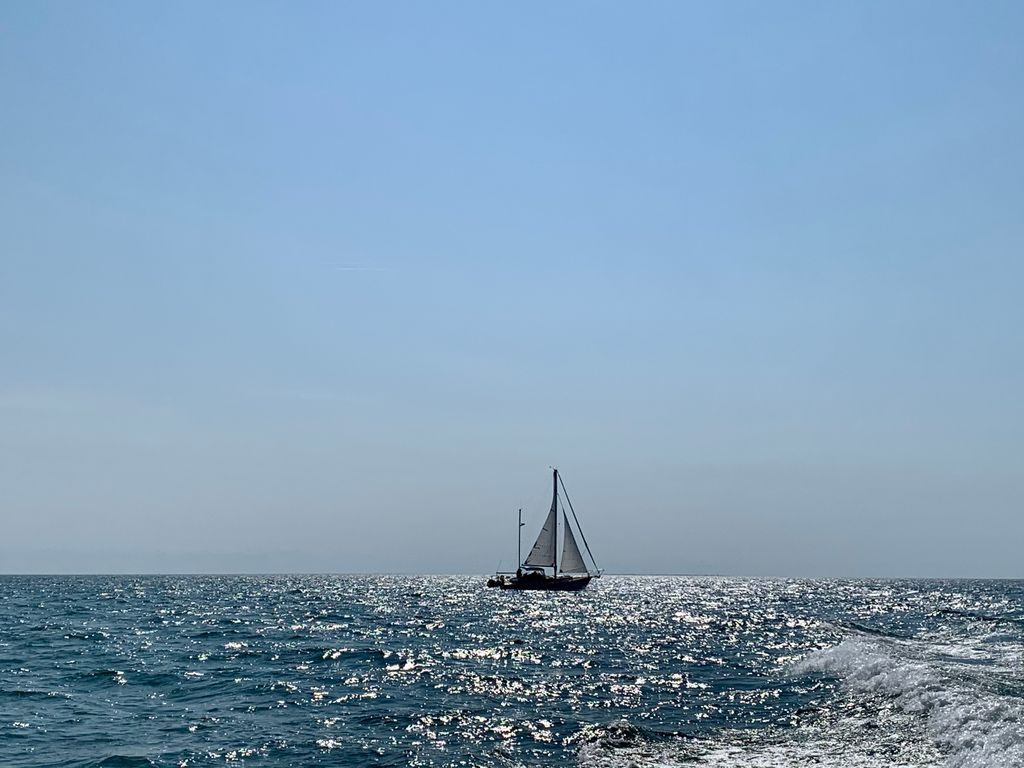 LPWBR's tweet photo. ⛵️#flashbackfriday
📷: Amanda Houze
•
•
•
•
#longpoint #nature #naturephotography #naturelovers #ecosystem #biodiversity #conservation #sustainability #spottedinlongpoint #longpointbeach #lakeerie #sailboat https://t.co/aM3hkPAS1b