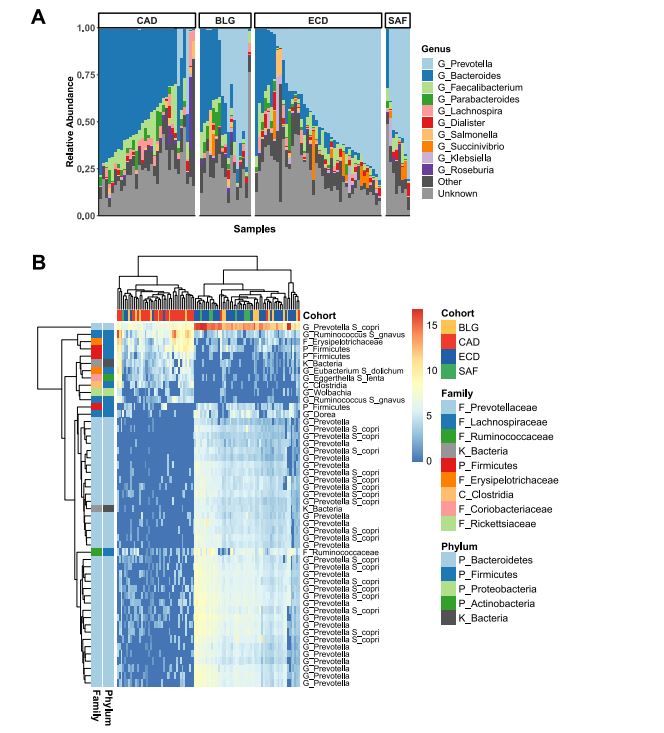 Biogeography of the Relationship between the Child Gut Microbiome and Innate Immune System skyw.io/oU5I9f