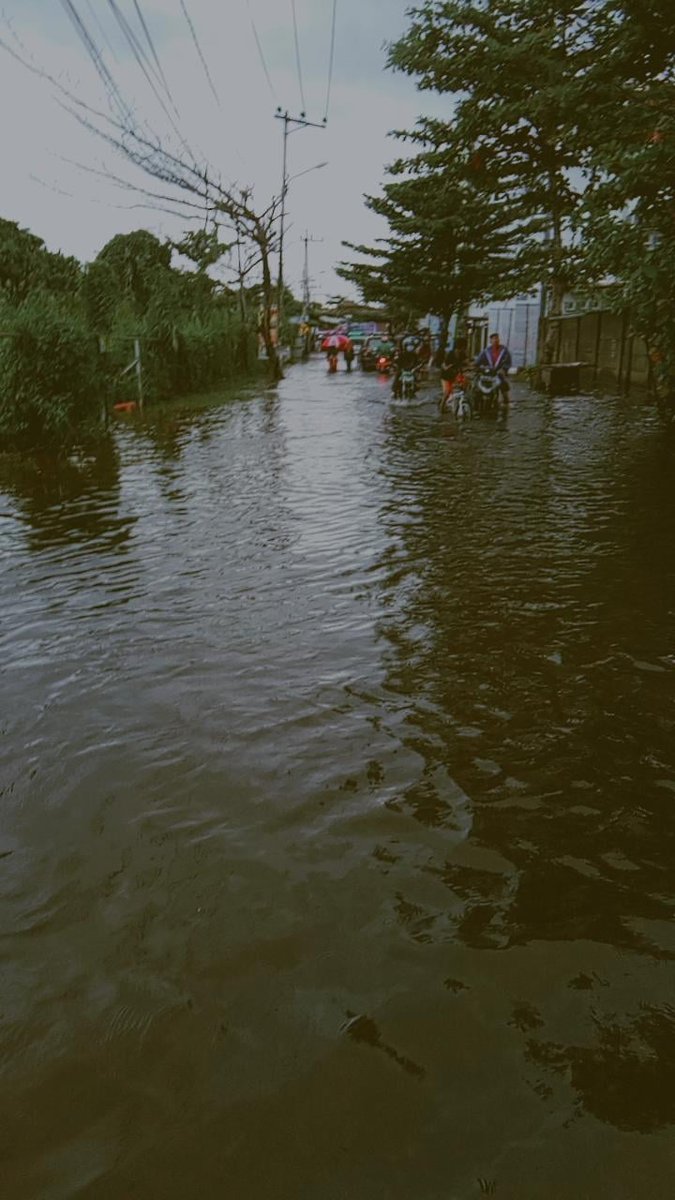teathaitea's tweet photo. hope everything's back to normal again 😭🤲🏻
#KalselJugaIndonesia #PrayforKalSel https://t.co/JZgYoyDQYs