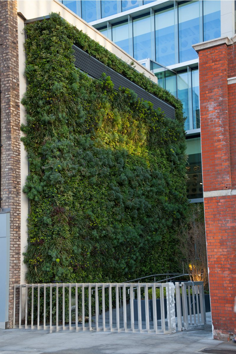 CORA_Eng's tweet photo. We are proud to be among the 1st Irish signatories of #StructuralEngineersDeclare nearly a year ago. We are calculating the #EmbodiedCarbon of our projects & experimenting with how different material choices could greatly reduce the environmental impact of our designs. #NetZero https://t.co/4YmtNb7VHv