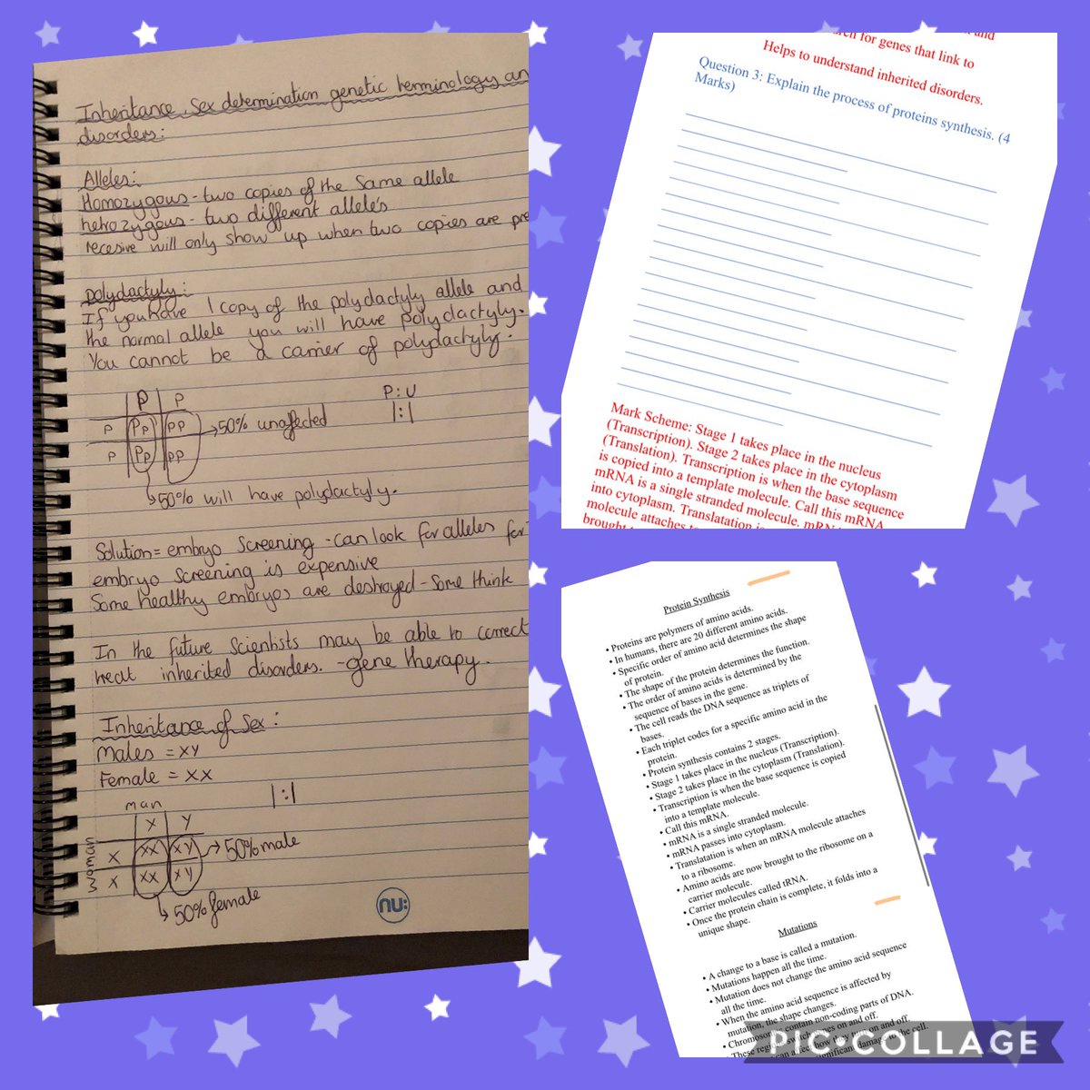 RBHSScience's tweet photo. Sasha and Max impressed Miss Poole with their revision notes! They even wrote their own exam questions and mark schemes!🤩 @MissPooleRBHS https://t.co/K47SXkeBbP