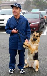 Twitter 上的 癒される動物 緊張した警察犬がかわいい T Co Gvzxk86onv Twitter