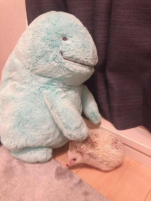 ヌオーのtwitterイラスト検索結果