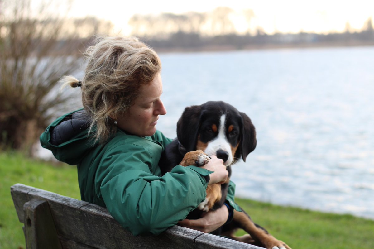 Heerlijk beestje 🐶 #nukanhijnogopschoot #dogsoftwitter #pablo