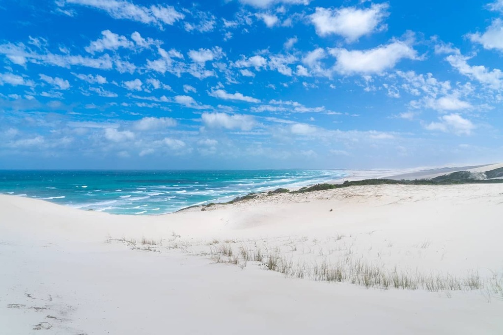 max_s5's tweet photo. The second work week was super busy but now it's #friyay and time for #beaches on your #mind. Like this one from #southafrica about 14 month ago. #picoftheday #photo #nofilter https://t.co/oil8yspv96