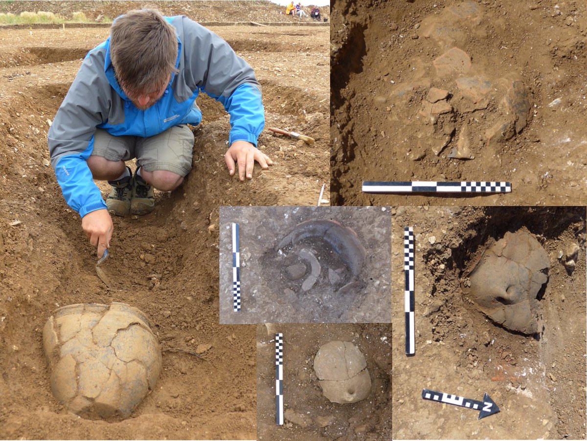 Durotriges Project tweet media