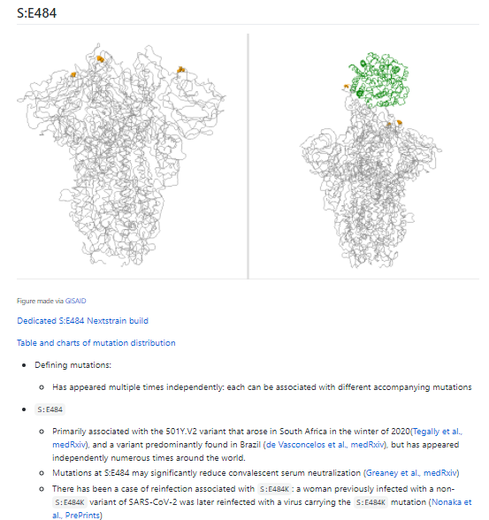 The variant predominantly in the UK (501Y.V1 / B.1.1.7) and the variant predominantly in South Africa (501Y.V2) also both have 501. 501Y.V2 *also* has the 484K mutation.Why are there concerns about these mutations? You can read more at  http://CoVariants.org !3/10