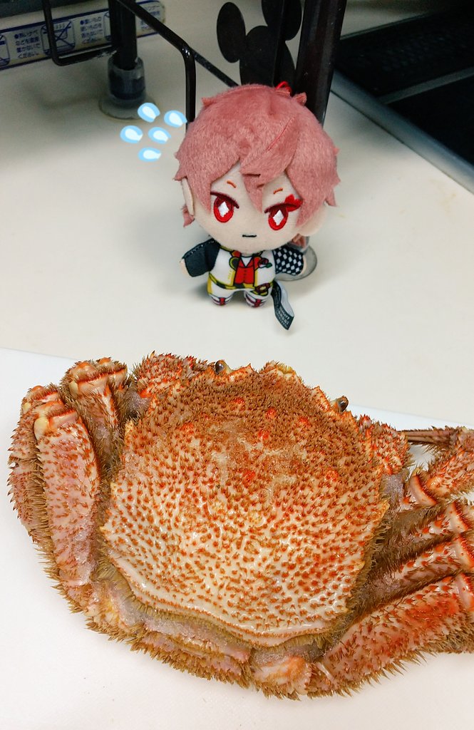 ちゃんみな 断捨離 貯金中 今日はカニちゃんを食べまーす 誰だよ 魔法でカニ巨大化させたやつ 今日のごはん ツイステ エース トラッポラ ツイステぬい撮り部 T Co 0hvs7qrq8g Twitter