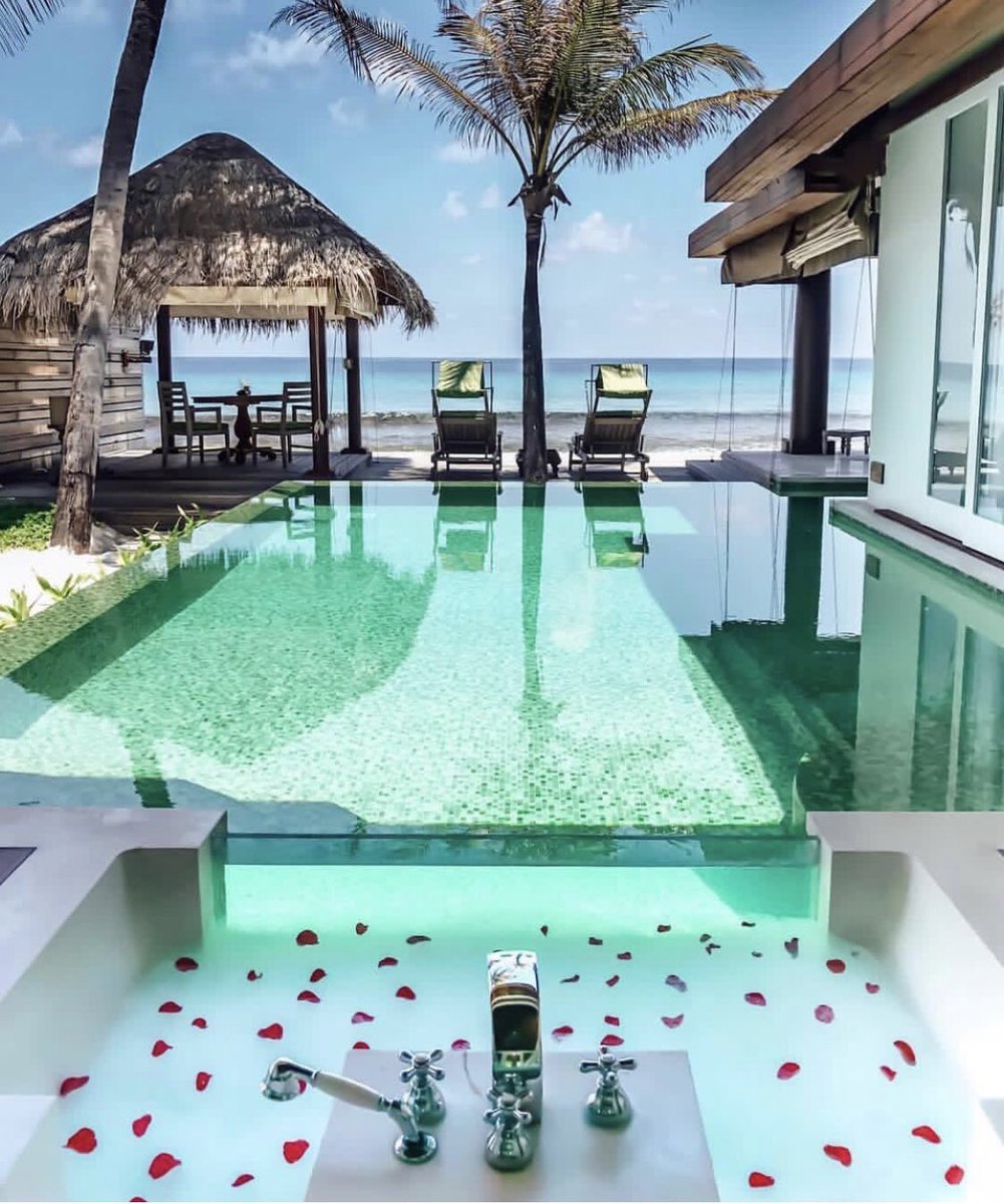 INTERIORPORN1's tweet photo. Welcome to the Maldives 🇲🇻 https://t.co/bVcUBw3qBt
