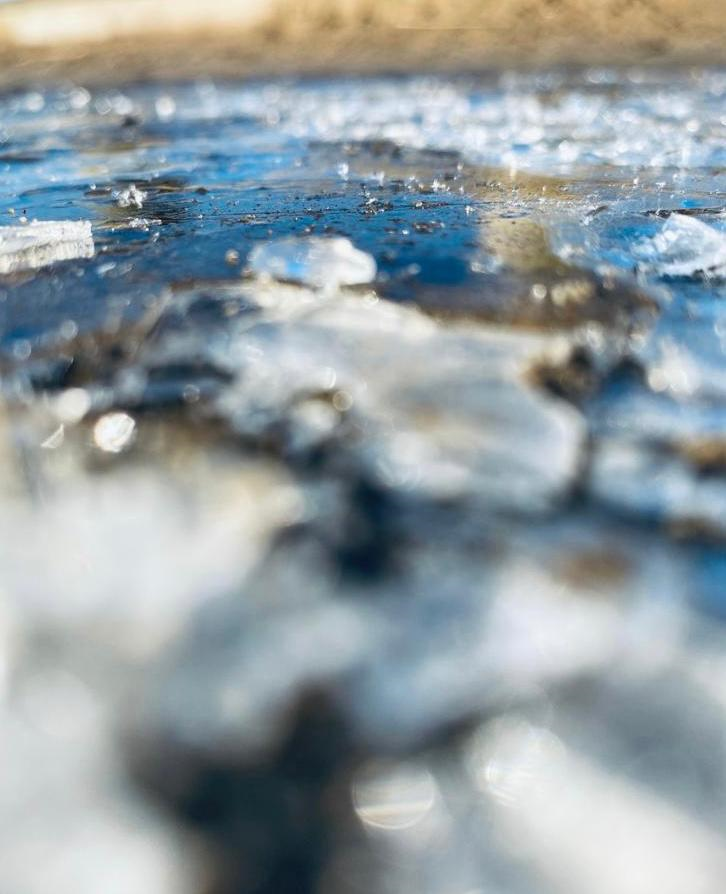 BirkenheadSchl's tweet photo. Congratulations to this week's photography competition winner Holly, Year 8, with her close up photo of ice.
Well done to everyone who entered.
Holly is the first winner, who now enters the end of term competition where the overall winner will win a prize.
#remotelearningatBS https://t.co/fl8PbAlqU2