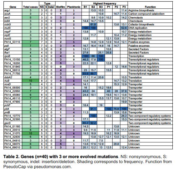 Surprise #2: Adaptation appears highly polygenic. At least 40 genes show mutational parallelism. Katrina and I think growth in the arginine medium exposes a good chunk of the genome to selection, enabling lots of beneficial mutation