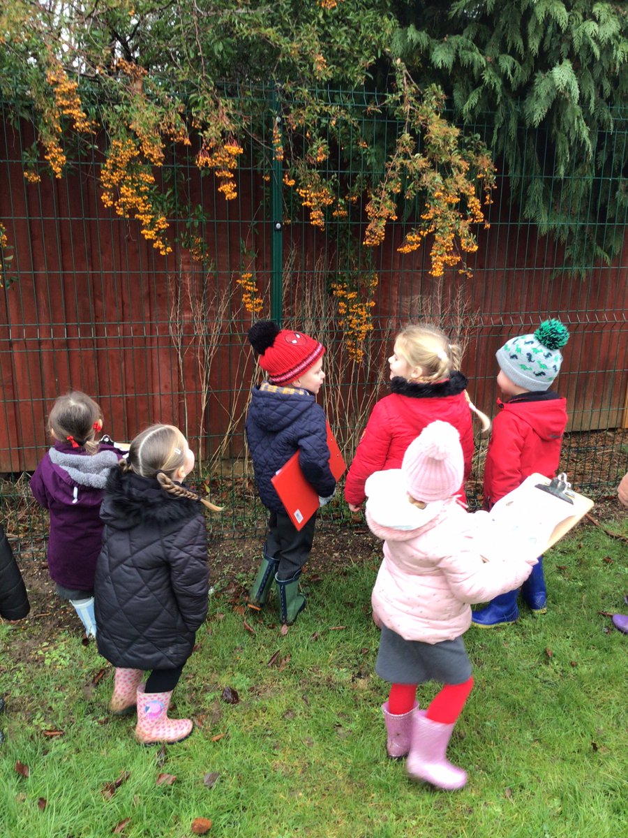 EPA_KittensFS1's tweet photo. We enjoyed searching for the signs of winter 🥶 ❄️ We even spotted a robin high up in a tree! @EastfieldPri https://t.co/8OKMtuXszE
