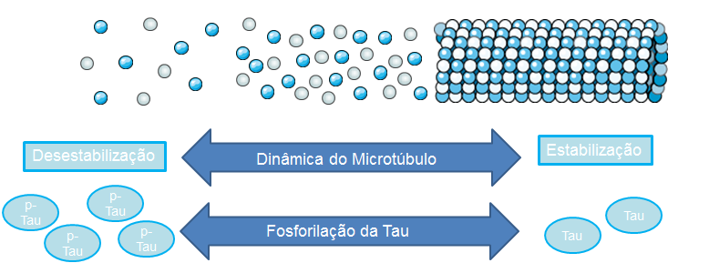 NanocellBr's tweet photo. BENEFÍCIOS DO AMBIENTE TÉRMICO TERMONEUTRO PARA A DOENÇA DE ALZHEIMER - https://t.co/B5cWTTaTH8 https://t.co/stYHpDqS5F