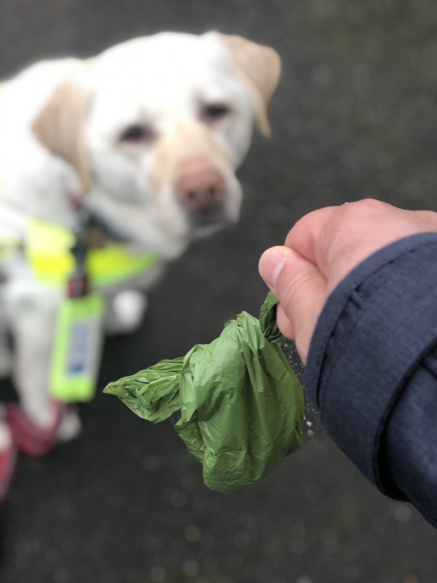 Did you know that Guide dog owners are exempt from picking up poo? Even so, I still do it.

If a totally blind person like me can pick up after their dog, why is there so much dog poo on the pavements? And if you’ve bagged the poo, why throw the bag on the ground or in a bush? 💩
