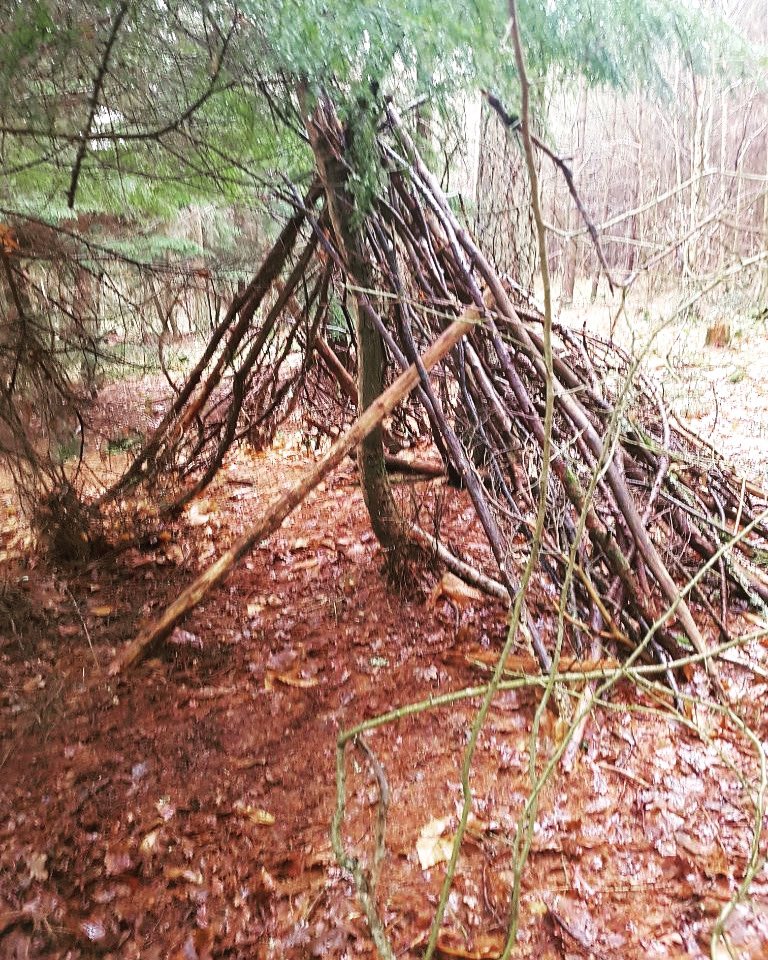 Den building taking place at home too!! #outdoorschool #learningathomeoutdoors