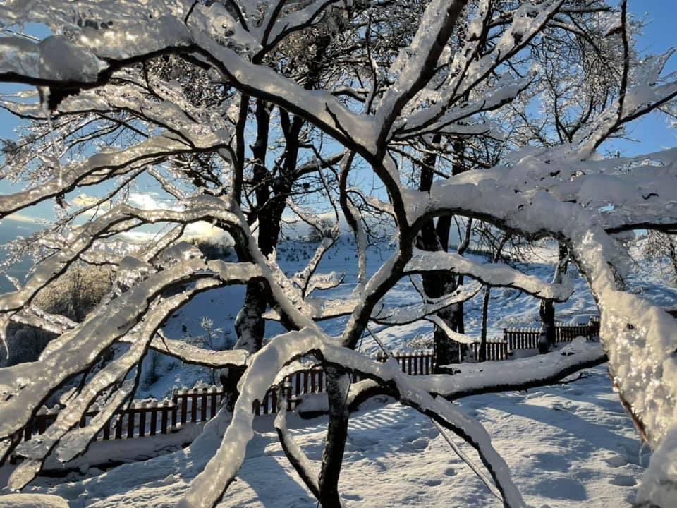 IvanGaidarov's tweet photo. #Winter scenery from the village of #Zasele in the gorgeous #Iskar river gorge, 50 kilometers from Sofia, the capital of #Bulgaria 🇧🇬

It is beautiful, despite the devastation of the trees by the icy rain a few days ago ❄️

📷 Bojilovo Complex https://t.co/MLaHfMh5rF